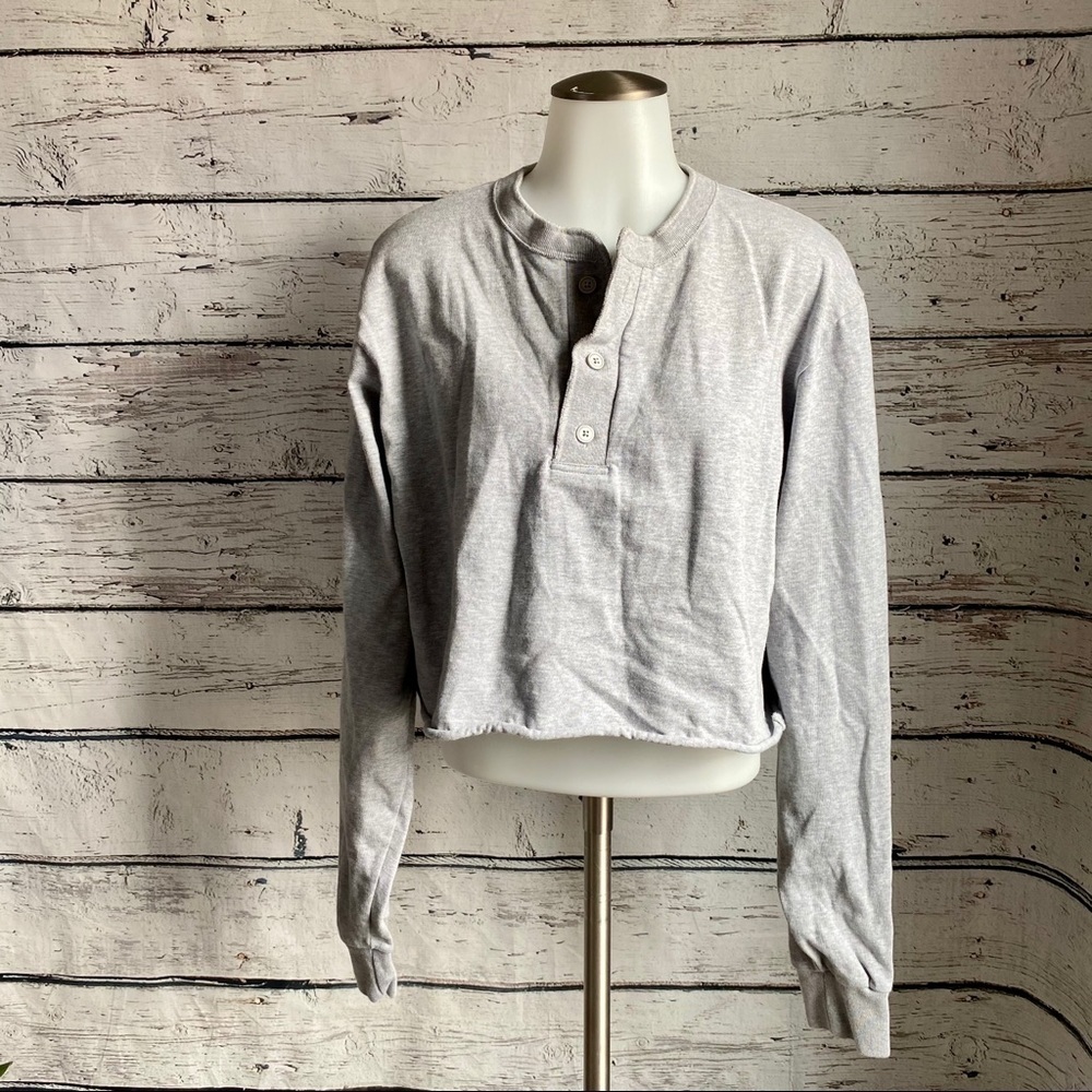 John Galt gray crop top sweater
